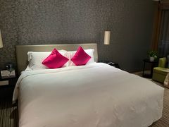 -深圳皇庭V酒店