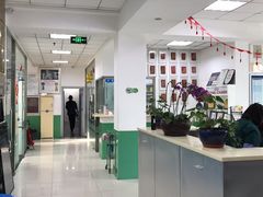 -利又安动物医院··老年病·猫科犬科·中兽医