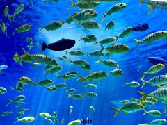 -沈阳海洋探索中心