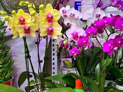 -三旗百汇商品城