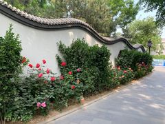 -宣武艺园