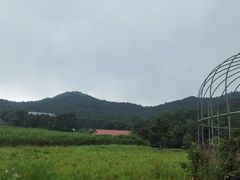 -金石滩蓝莓谷庄园