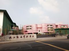 -杭州观成实验学校