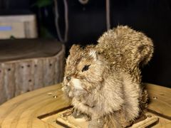 -明日世界密室轰趴·剧本桌游·箭馆团建(国贸店)
