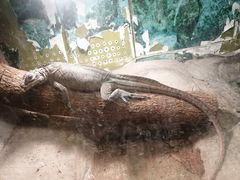 -上海昆虫博物馆