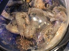 虾爬子（皮皮虾）-乔哥铭洋海鲜自助(皇城恒隆广场店)