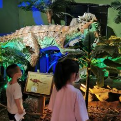 -恐龙探索乐园(磁器口店)