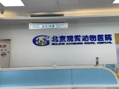 -北京观赏动物医院·24小时大型综合·猫专科·异宠专科