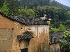 -杨家堂村