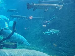 -珠海长隆海洋王国