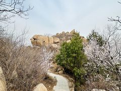 -北京凤凰岭