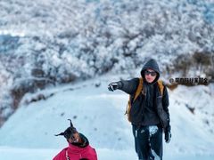 -太子岭滑雪场