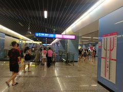 -大龙山(地铁站)