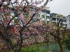 -百杖潭景区