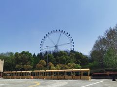 -宜兴龙背山森林公园