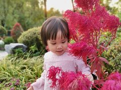 -东莞植物园