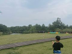 -南湖湿地公园