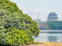 -海珠湖公园