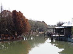 -江滩湿地公园