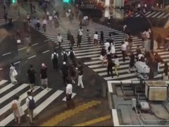 -涩谷全向十字路口