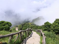 -梧桐山风景名胜区