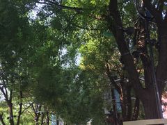 -大唐不夜城-开元广场