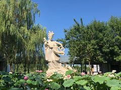 -白洋淀风景区