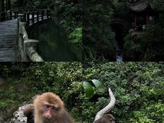 -峨眉山风景名胜区