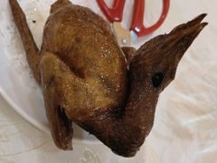 招牌红烧乳鸽16.8元/只-有腥气私房菜·寻味顺德