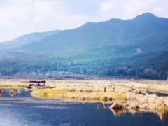 -腾冲北海湿地