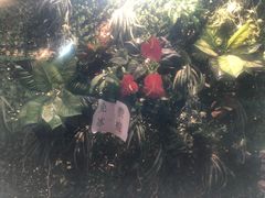 -渝宗老灶火锅(巴国城店)