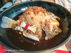 -芙蓉堂(武汉天地店)