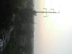 -建华生态湿地百荷园