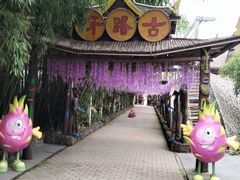 -呀路古热带植物园