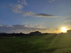 -光明小镇欢乐田园