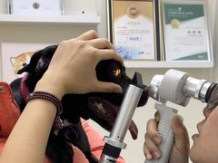 -美联众合动物医院·24h京西诊疗中心