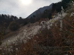 -石砭峪水库