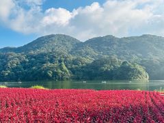 -广州市石门国家森林公园