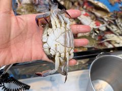 -川骄海鲜自助(河东店)