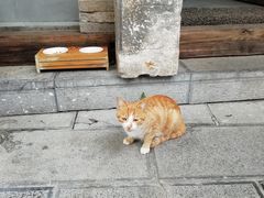 景观位-知亘茶食