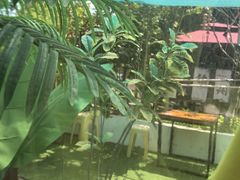 -百味地锅鸡(二店·财校分店)