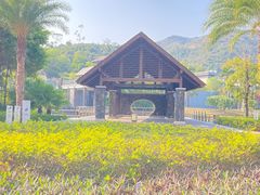 -艺厨风尚餐厅 · 桔钓沙莱华度假酒店