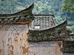 -杨家堂村