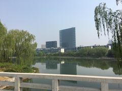 -大兴滨河森林公园