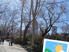 -紫竹院公园-东门停车场