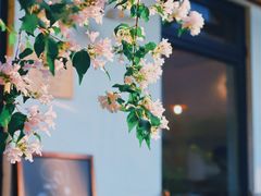-Cafe Villa