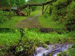 -苏木山森林公园