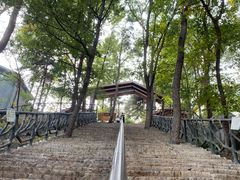 -沂蒙山旅游区云蒙景区(蒙山国家森林公园)