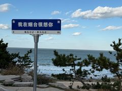 -海岛日记(养马岛店)