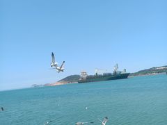 -海驴岛(荣成市)